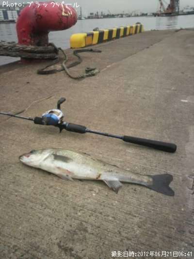 �����Х�