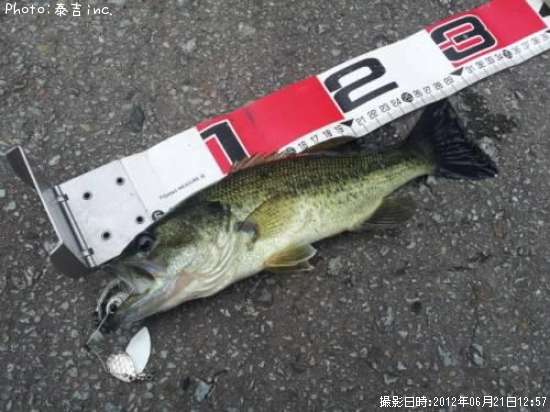 �֥�å��Х�