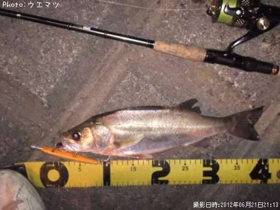 �����Х�