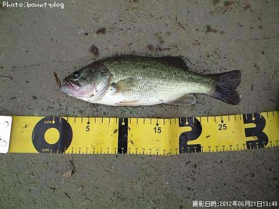 �֥�å��Х�