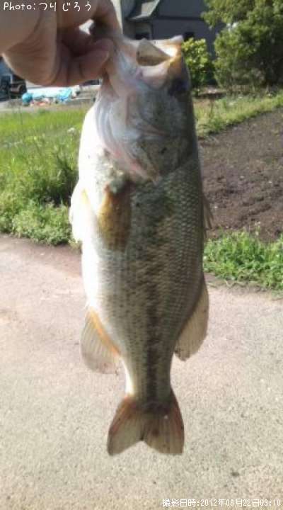 �֥�å��Х�