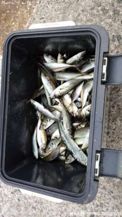 ���亮������