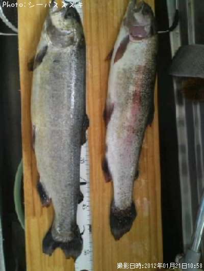 �����ۥ������