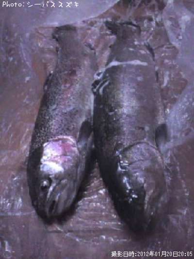 �쥤��ܡ��ȥ饦��