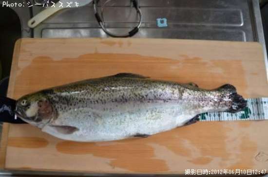 �ɥʥ�ɥ���