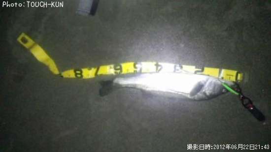 �����Х�