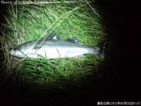 �����Х�