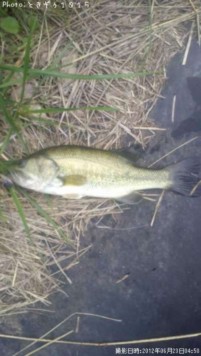 �֥�å��Х�