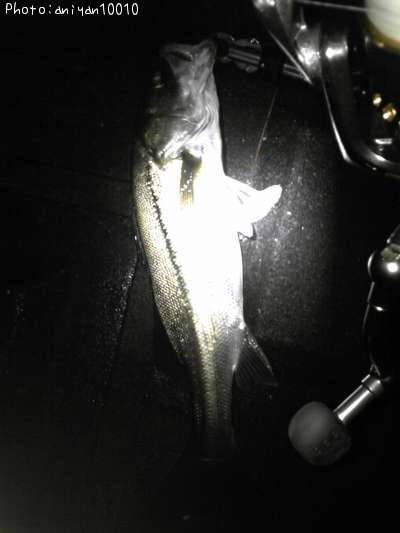 �����Х�