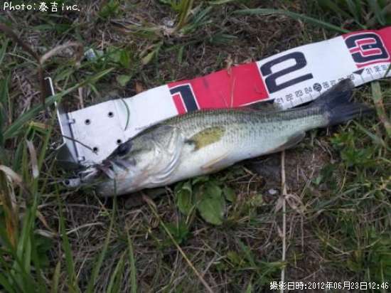 �֥�å��Х�