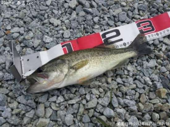 �֥�å��Х�