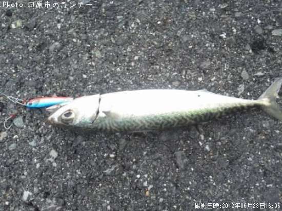 ���С������Υ���Х�