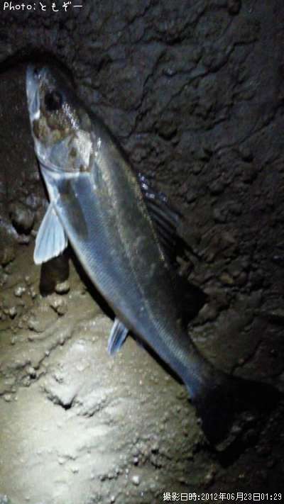 �����Х�