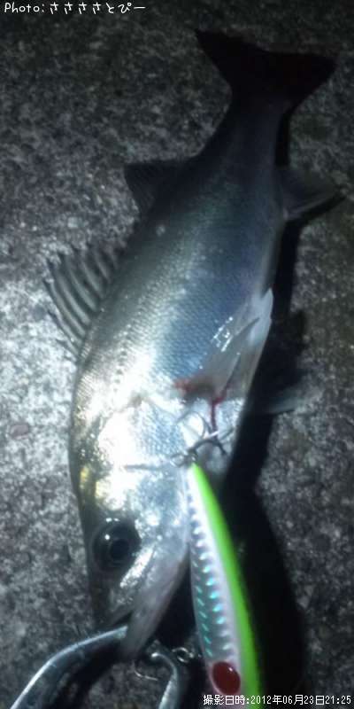 �����Х�