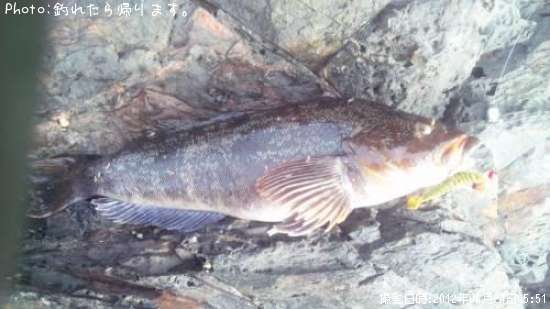 �����ʥ�