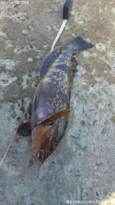 �����ʥ�