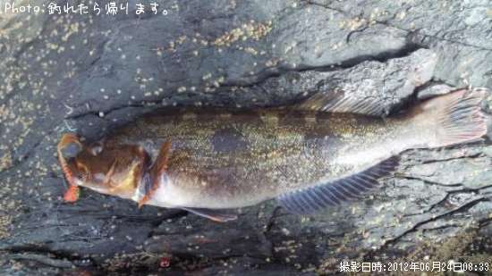 �����ʥ�