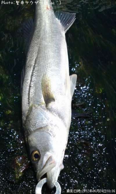 �����Х�