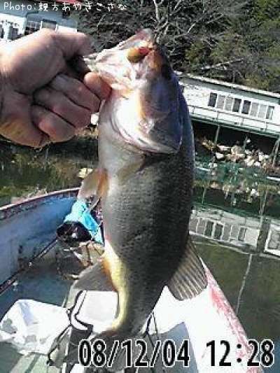 �֥�å��Х�