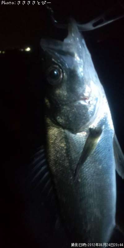 �����Х�