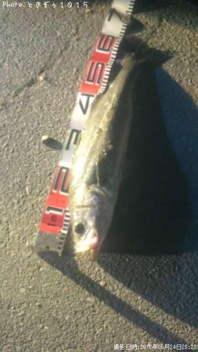 �����Х�