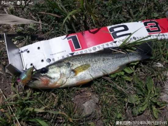 �֥�å��Х�