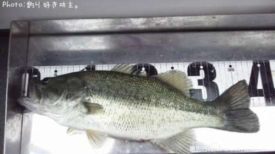 �֥�å��Х�