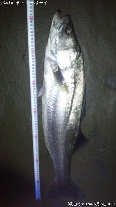 �����Х�