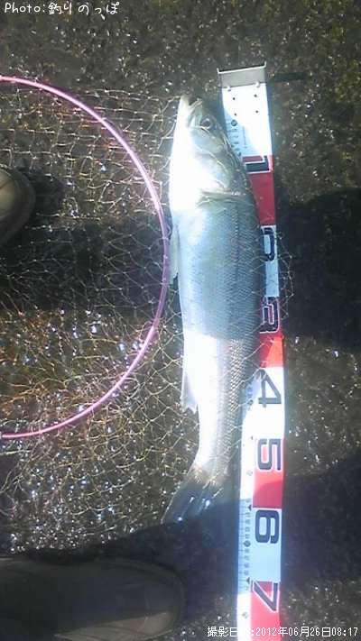 �����Х�