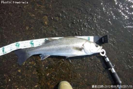 �����Х�