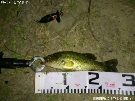 �֥�å��Х�