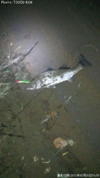 �����Х�