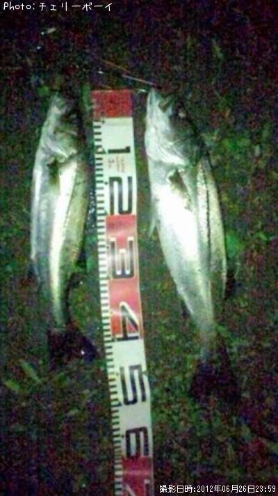 �����Х�