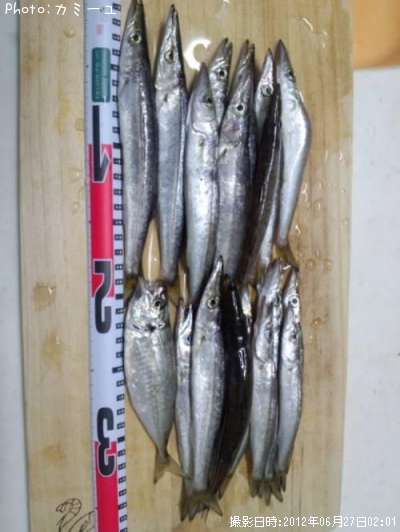 ���ޥ�������