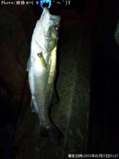 �����Х�