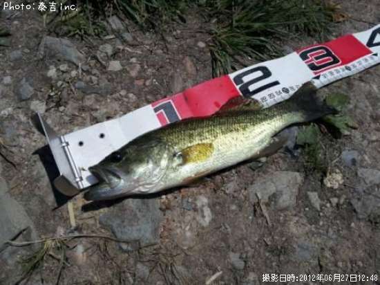 �֥�å��Х�