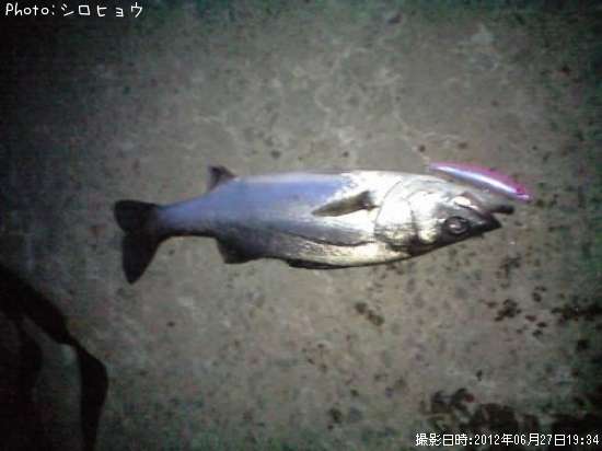 �����Х�