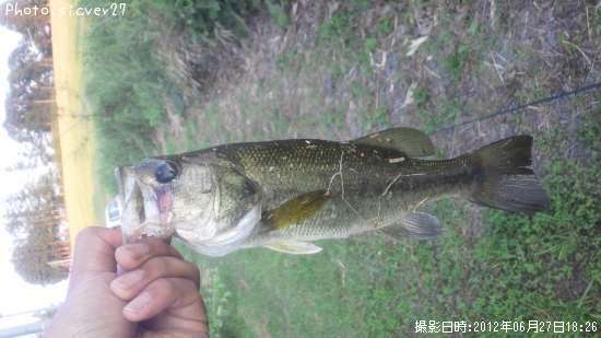 �֥�å��Х�