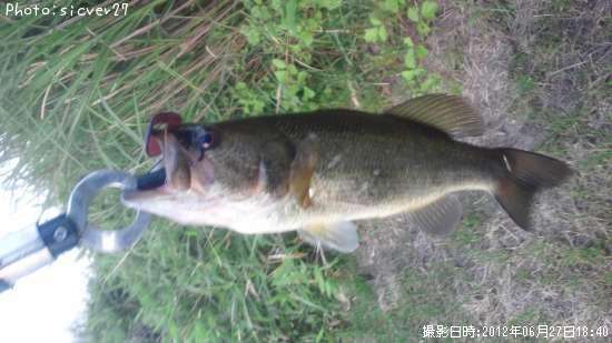 �֥�å��Х�