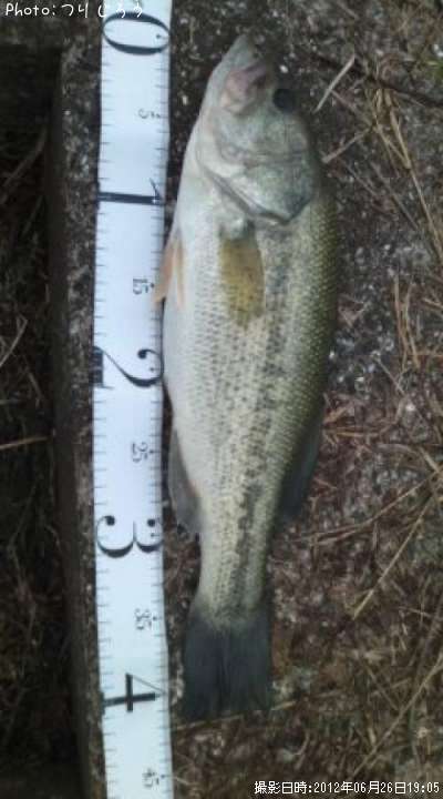 �֥�å��Х�