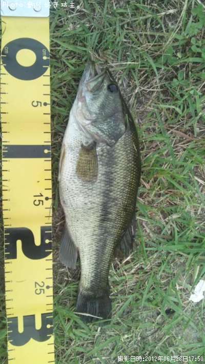 �֥�å��Х�