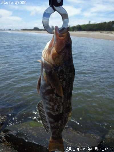 �����ʥ�