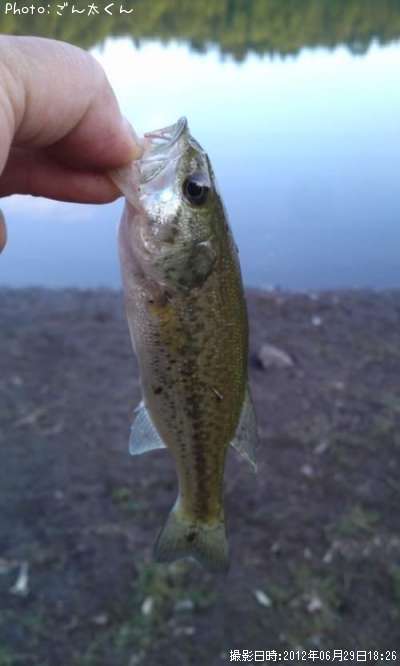 �֥�å��Х�