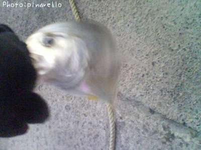 �����˥󥢥�