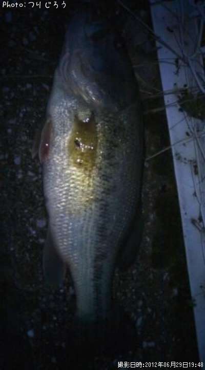 �֥�å��Х�