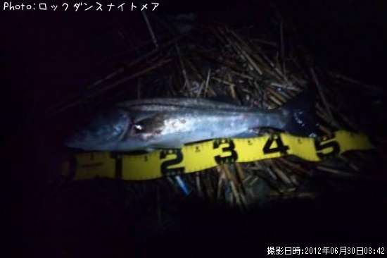 �����Х�