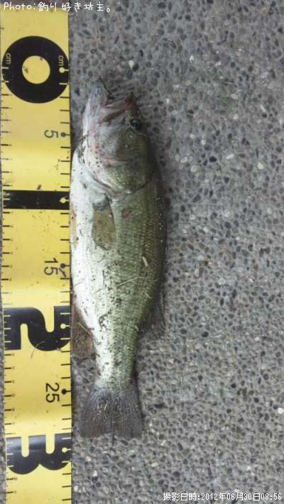 �֥�å��Х�