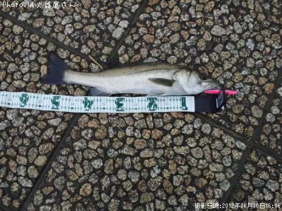 �����Х�