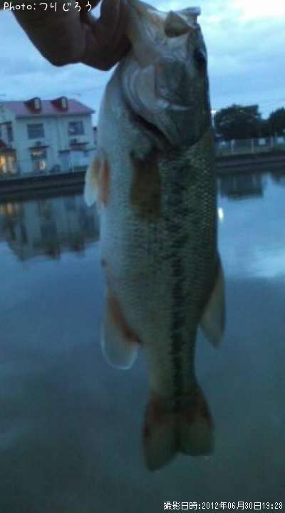 �֥�å��Х�