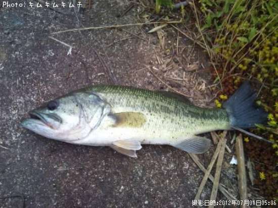 �֥�å��Х�